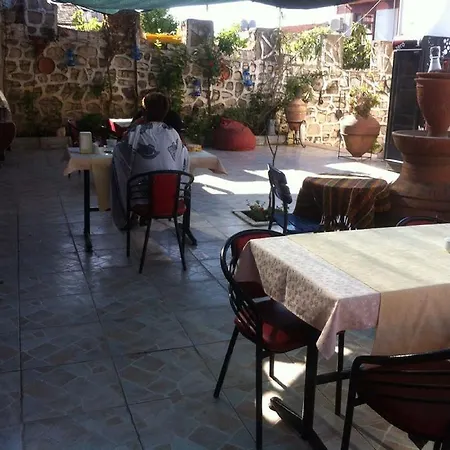 Sezgin's Kusadası
