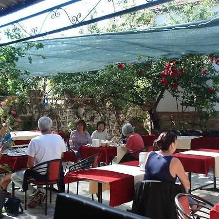 Sezgin's Kusadası
