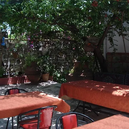 Sezgin's * Kusadası
