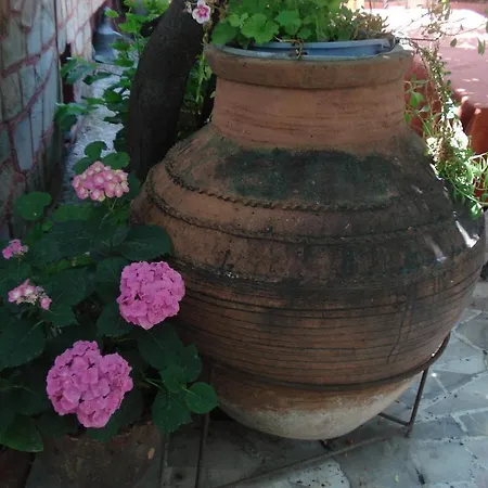 Sezgin's Pensiune