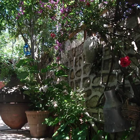 Sezgin's Kusadası