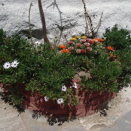 Sezgin's * Kusadası